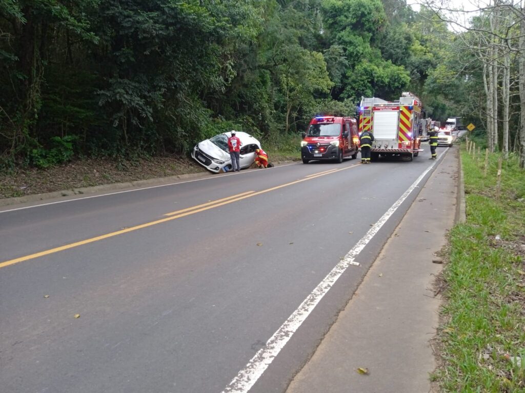 Acidente com queda de árvore interdita rodovia SC-355 em Planalto