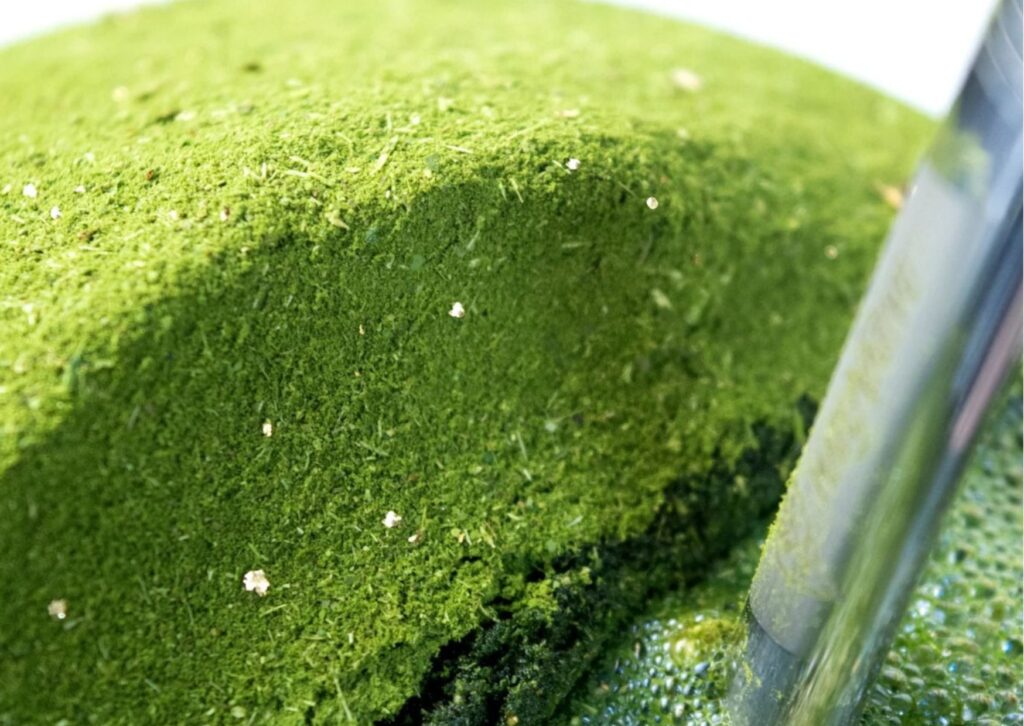 Chima de milhões: conheça a erva-mate com flocos de ouro 24k
