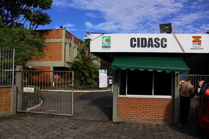Santa Catarina investiga três casos suspeitos de gripe aviária