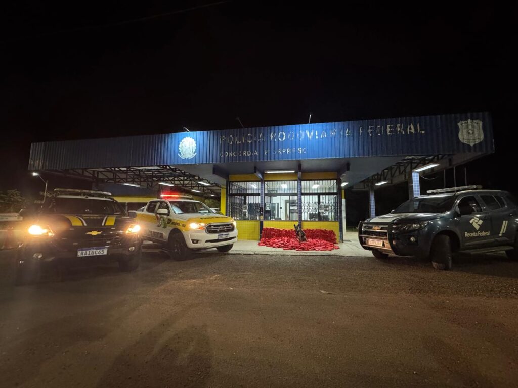 Polícia confirma 560 quilos de maconha em pneus de caminhão na BR-153