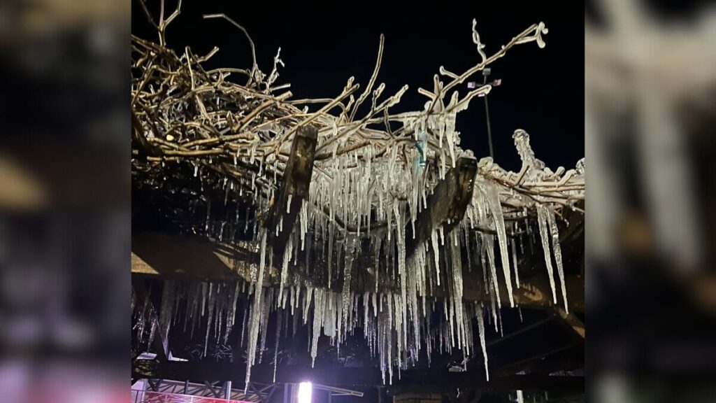 Cidades do Oeste catarinense enfrentam temperaturas negativas com avanço da massa polar