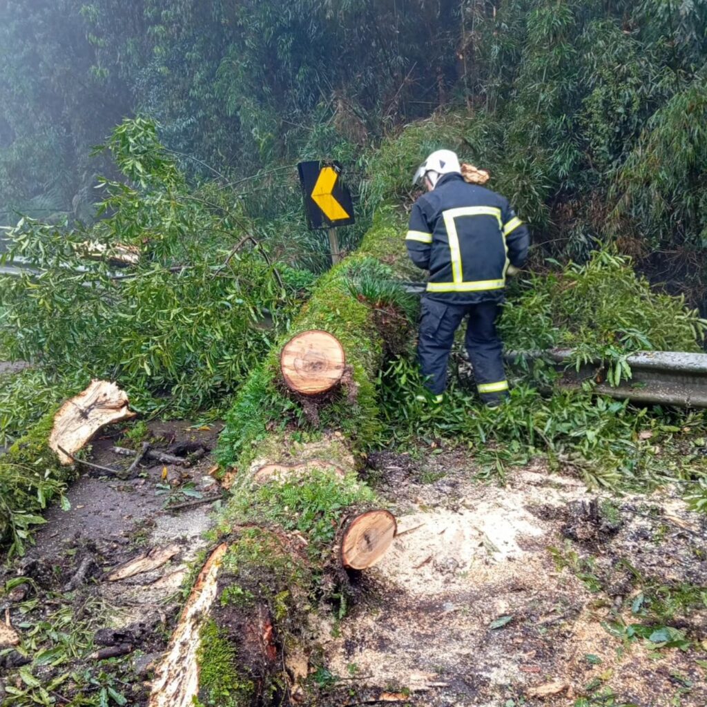 Árvore cai sobre a BR-153 em Irani e Bombeiros Voluntários agem rapidamente para desobstruir pista