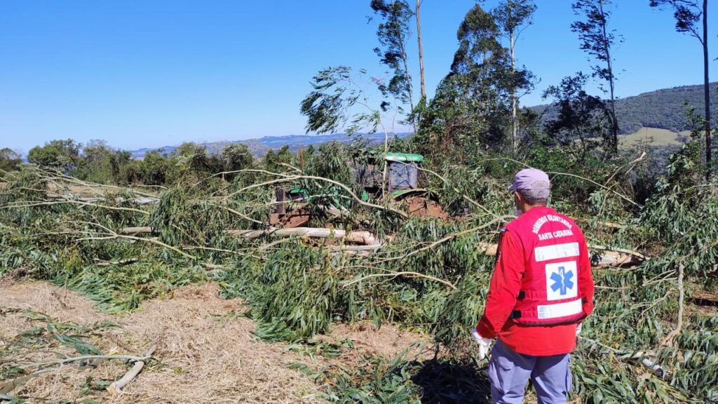 Agricultor morre ao ser atingido por árvore no interior de Irani