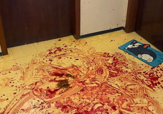 Discussão termina em homicídio no centro de Chapecó