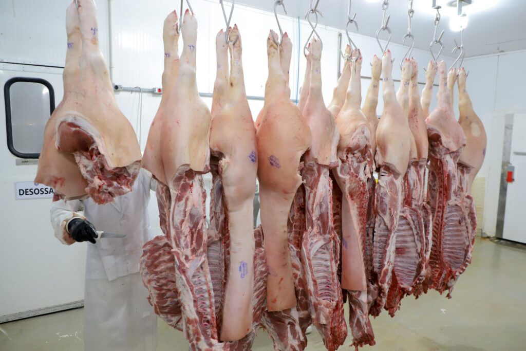 Suíno vivo e carne disparam em agosto