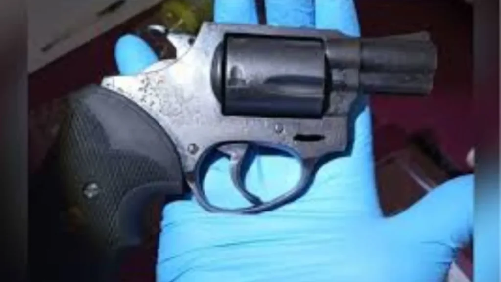 Morador reage a assalto e criminoso morre com a própria arma em Indaial