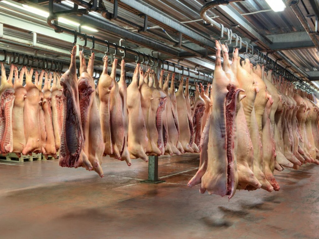 Exportações de carne suína alcançam maior volume mensal da história