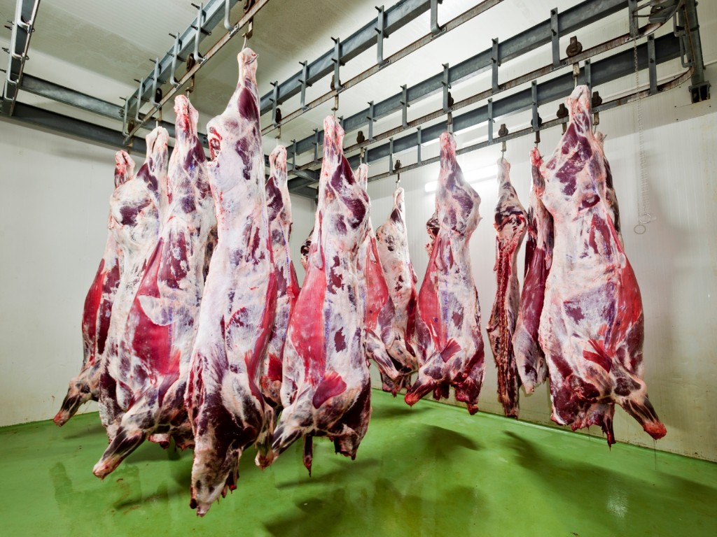 Indústria da carne bovina teme perda de até 40% das exportações com guerra no Irã