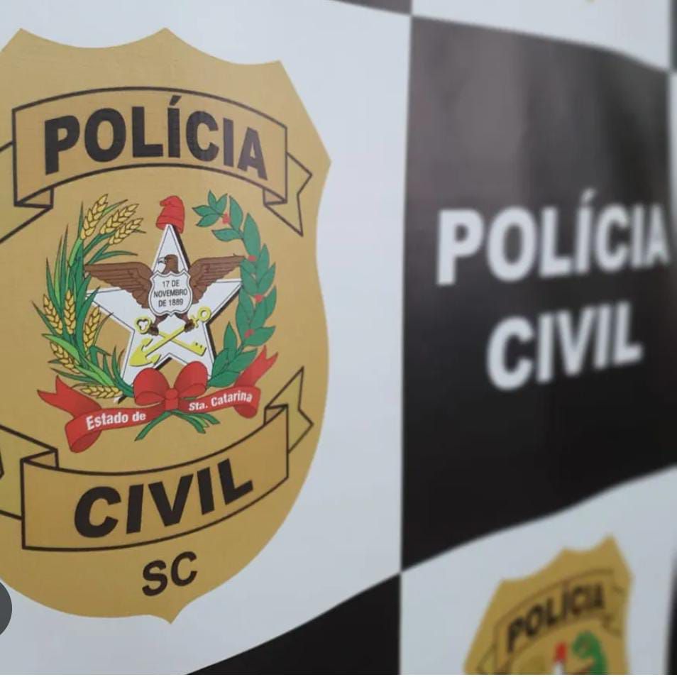 Polícia Civil apreende arma e investiga ameaça contra enteada em Lindóia do Sul