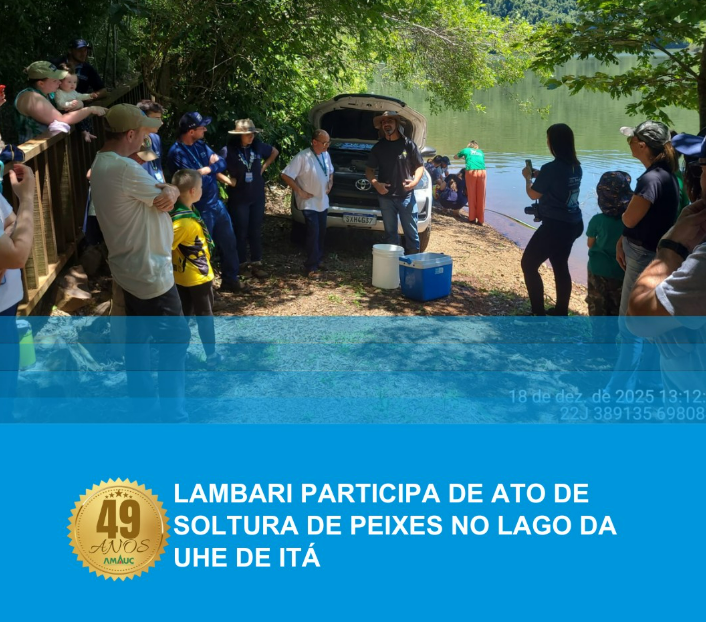 Ação Ambiental em Concórdia: Consórcio Lambari acompanha soltura de peixes nativos