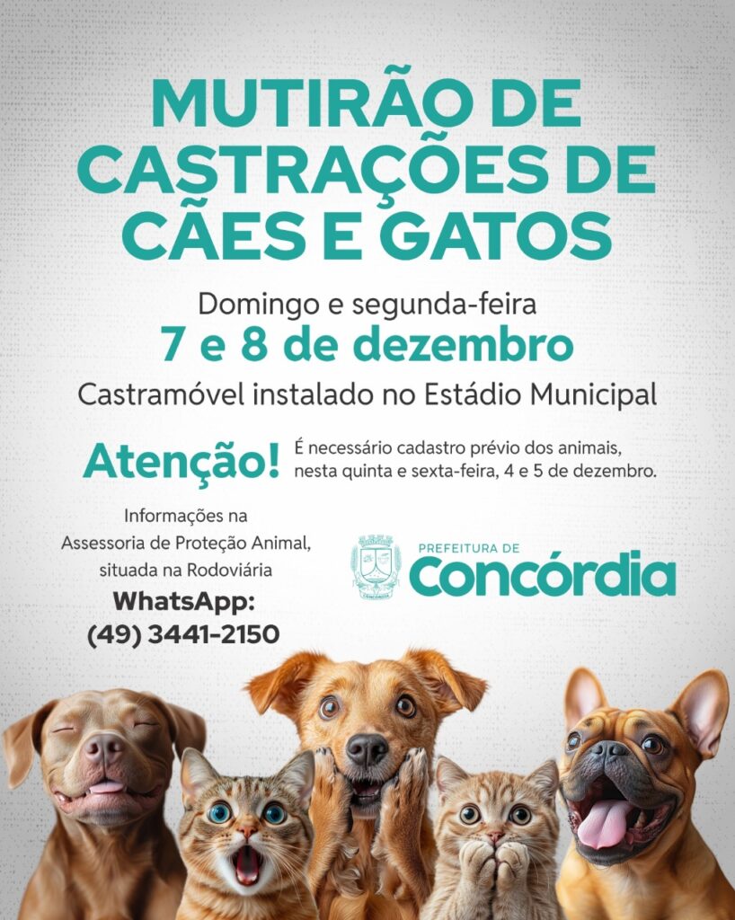 Mutirão de Castrações de cães e gatos acontece nos dias 7 e 8 de dezembro
