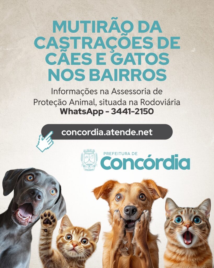 Concórdia terá mutirão itinerante de castração gratuita em cinco bairros em fevereiro