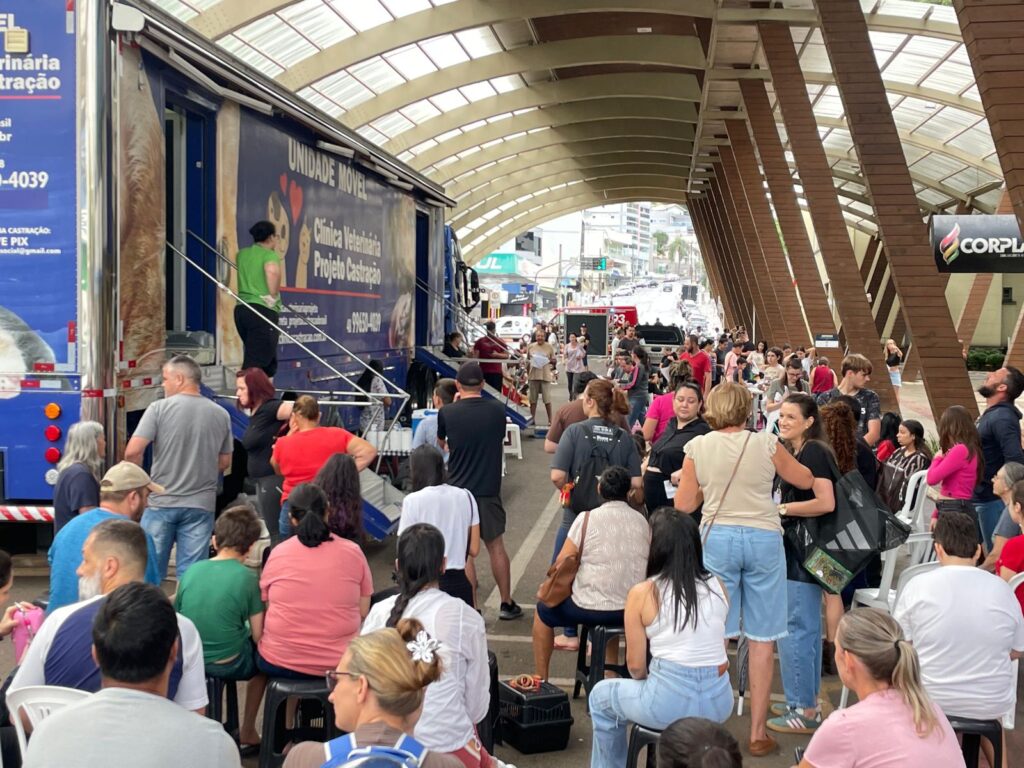 Mutirão itinerante encerra semana com marca histórica de castrações em Concórdia