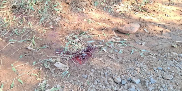 Homem é encontrado morto em Capinzal