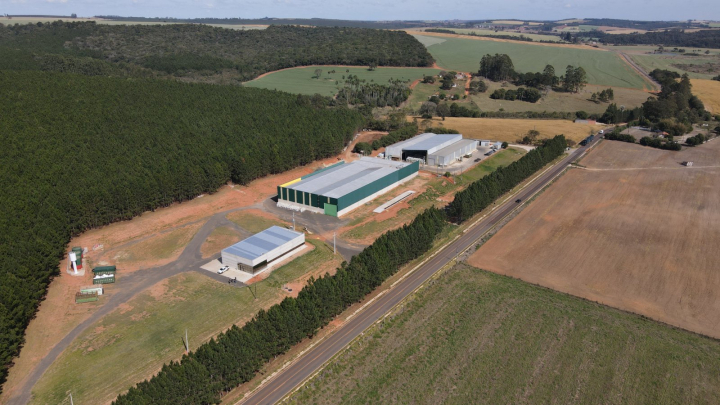 Suinocultura adota telhas de resíduos industriais para reduzir estresse térmico e acústico do rebanho