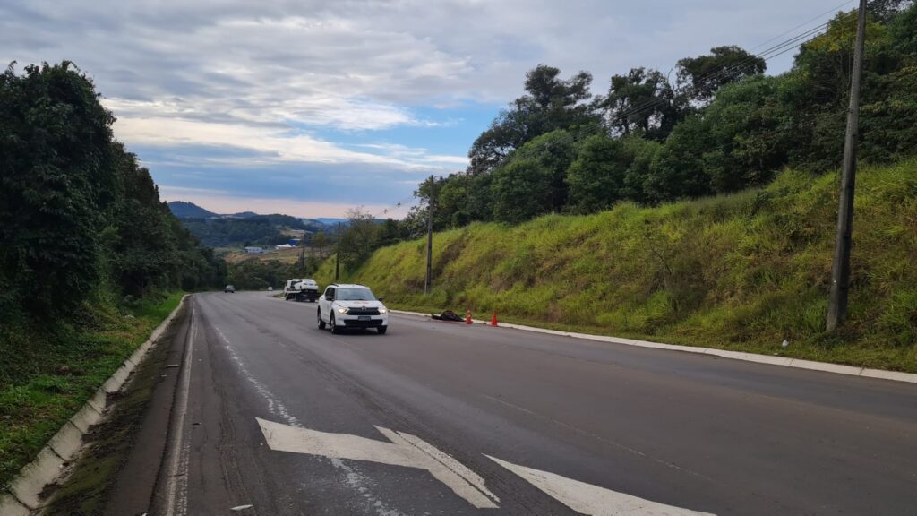 Cavalo morre após ser atingido por veículo no Contorno Viário Norte