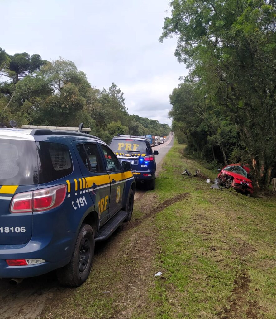 Motorista foge de fiscalização e bate contra árvore com quase 200 quilos de maconha