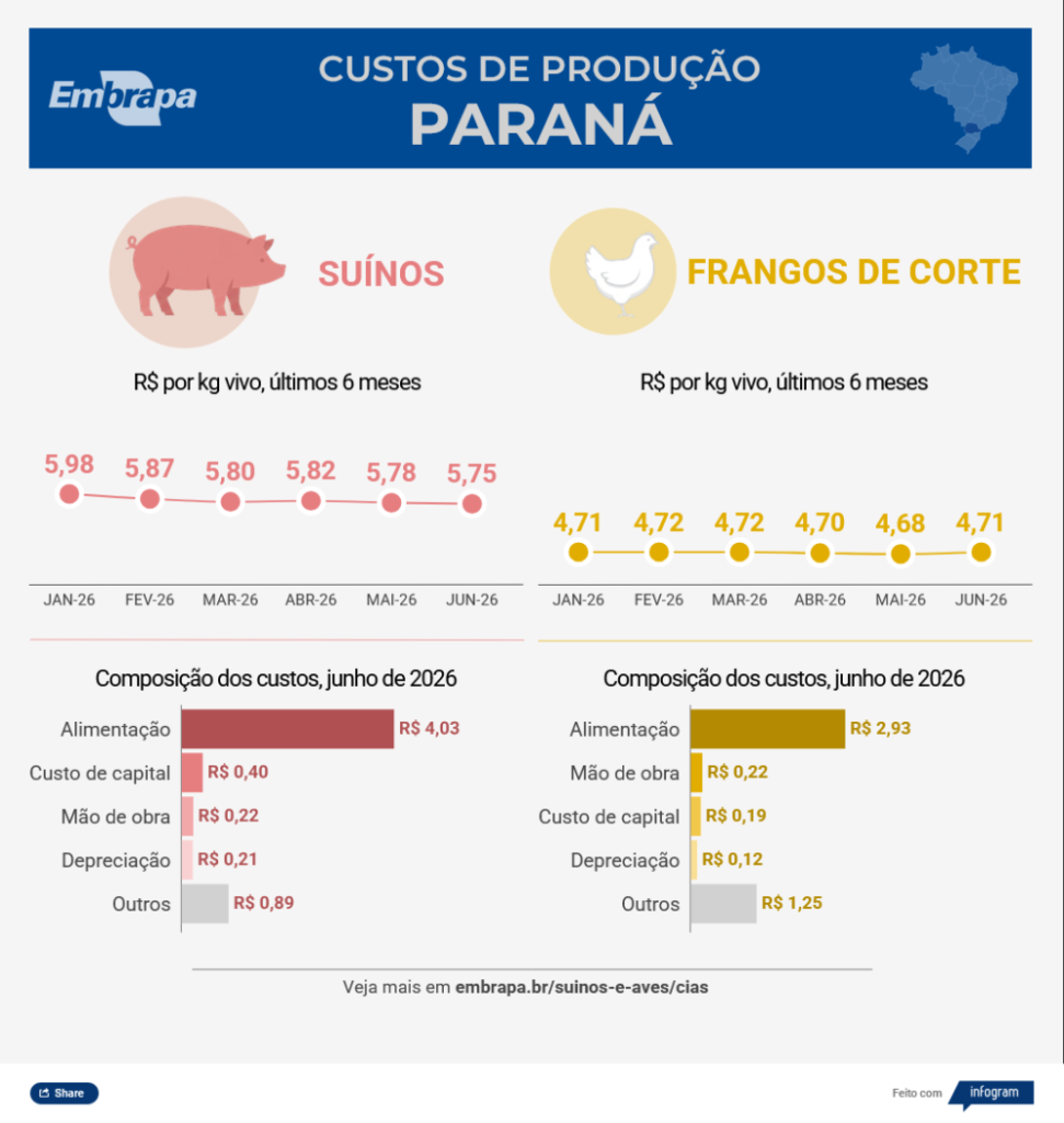 Custo de produção do frango sobe no Paraná e do suíno recua em Santa Catarina em junho