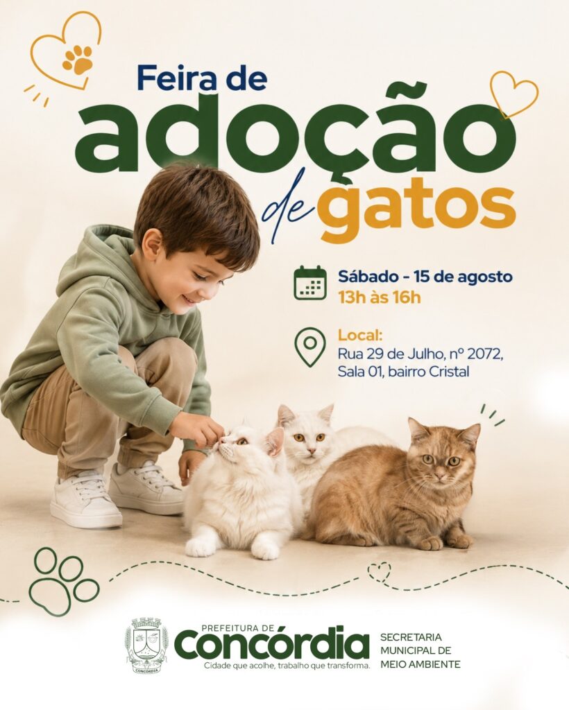 Gatos resgatados em apartamento: primeiros animais serão encaminhados para adoção