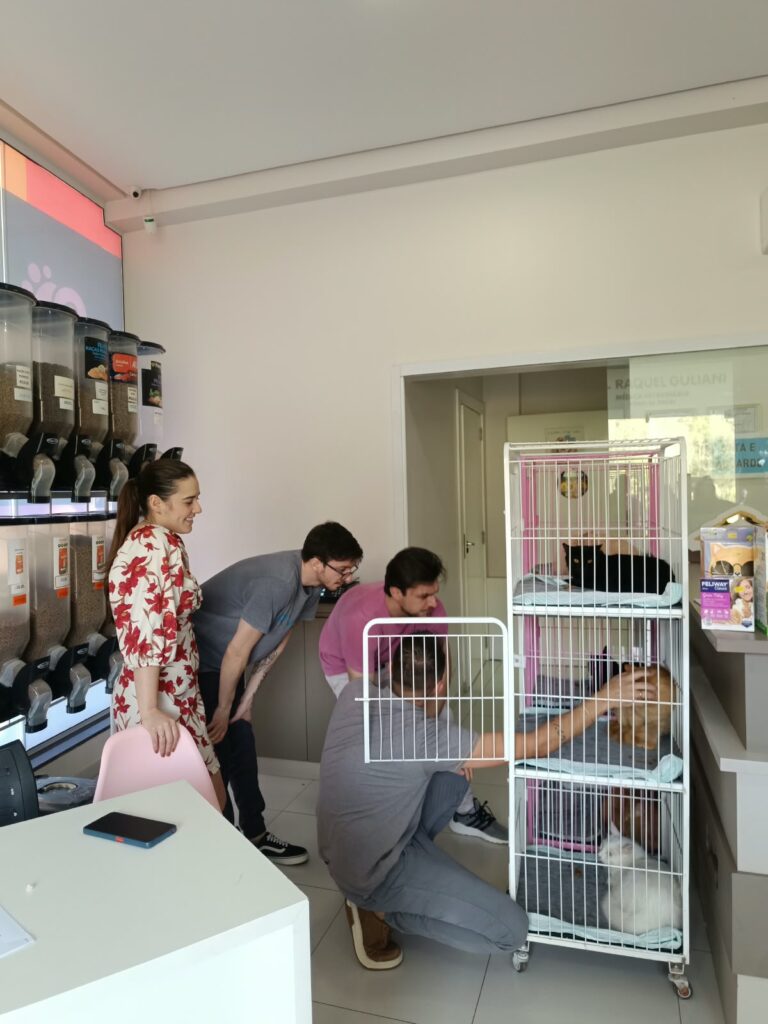 Animais resgatados em apartamento receberam novo lar em Concórdia