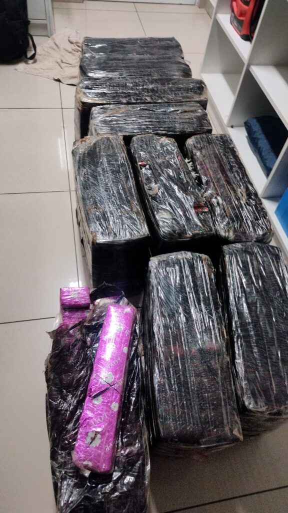 Motorista foge da PRF, bate em viatura e acaba preso com mais de 200 quilos de maconha em Joaçaba